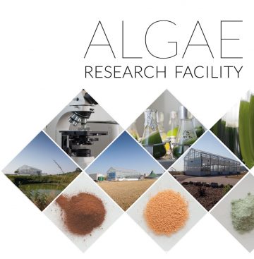 ROHKRAFT green – Folder