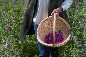 Lodenwalker- Image Photographie – Sommer 2017