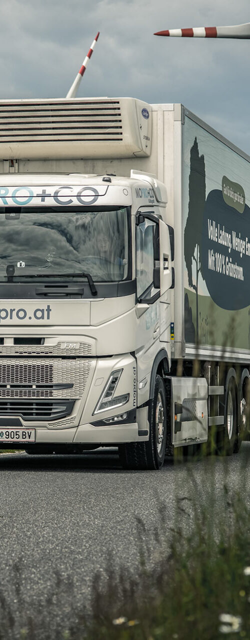 MOPRO & CO – Image Photography 2025